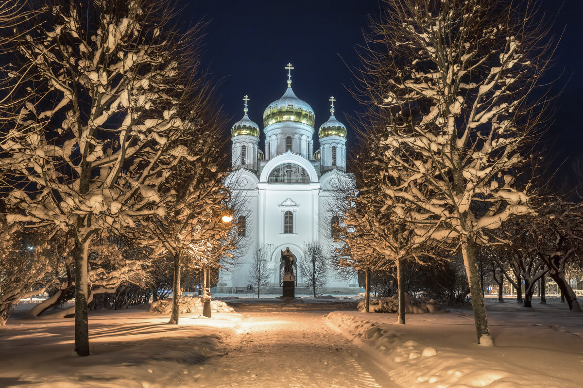 Про Питер - Владимир Колесников