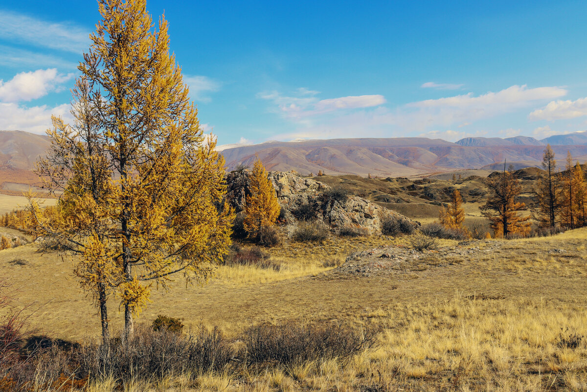 Осень в Горном Алтае - елена беликова Осень в Горном Алтае - елена беликова