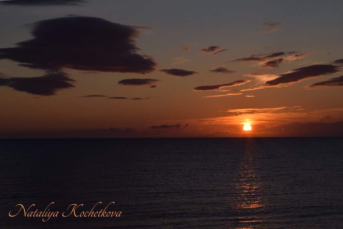 Природа Крыма - Amazing Cosmea Природа Крыма - Amazing Cosmea