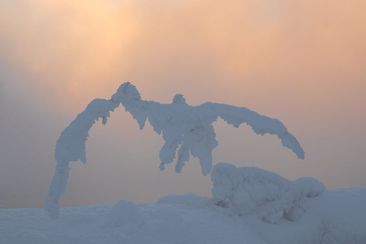 Взлетая над рекой - Сергей Герасимов Взлетая над рекой - Сергей Герасимов