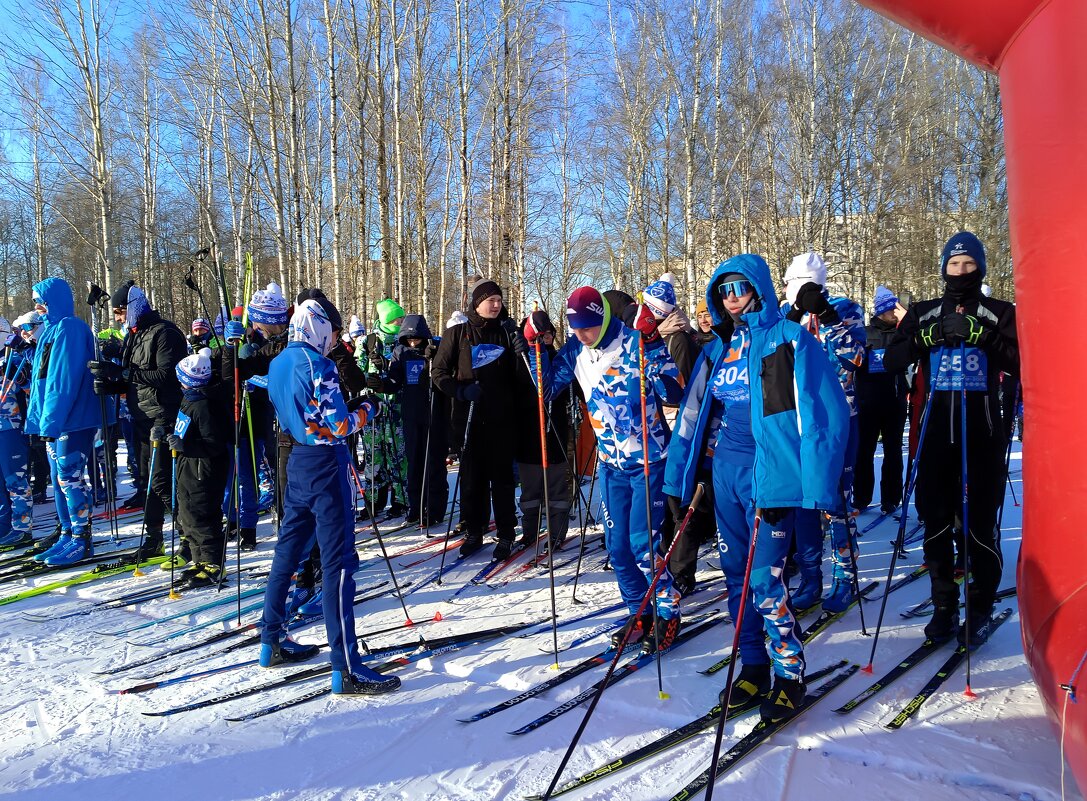 В ожидании старта - Мария Васильева В ожидании старта - Мария Васильева
