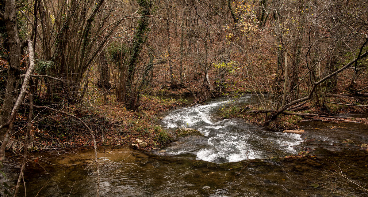 Черная речка. - Сергей Воротников