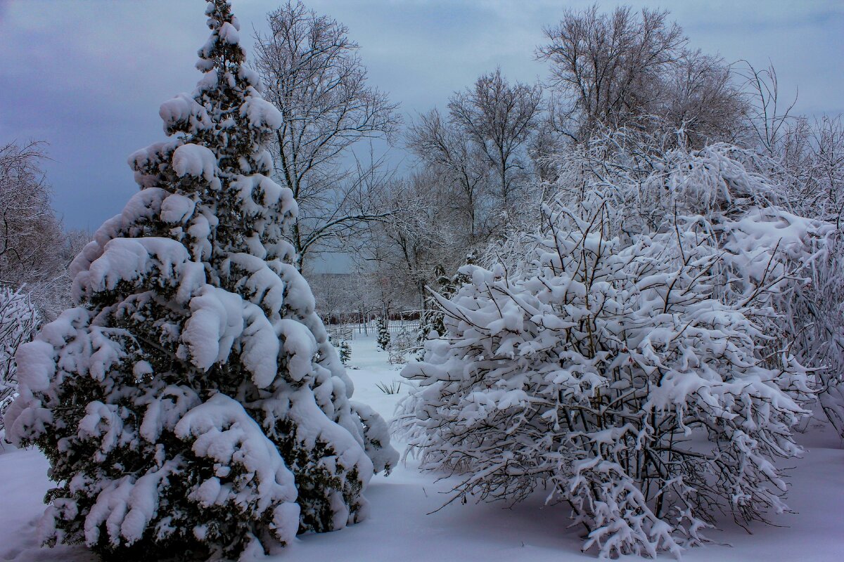Волшебство зимы - Оксана Новик 