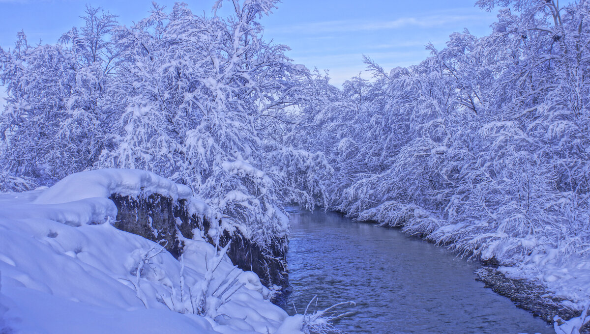 Новогоднее утро---07 - Владимир Холодный Новогоднее утро---07 - Владимир Холодный
