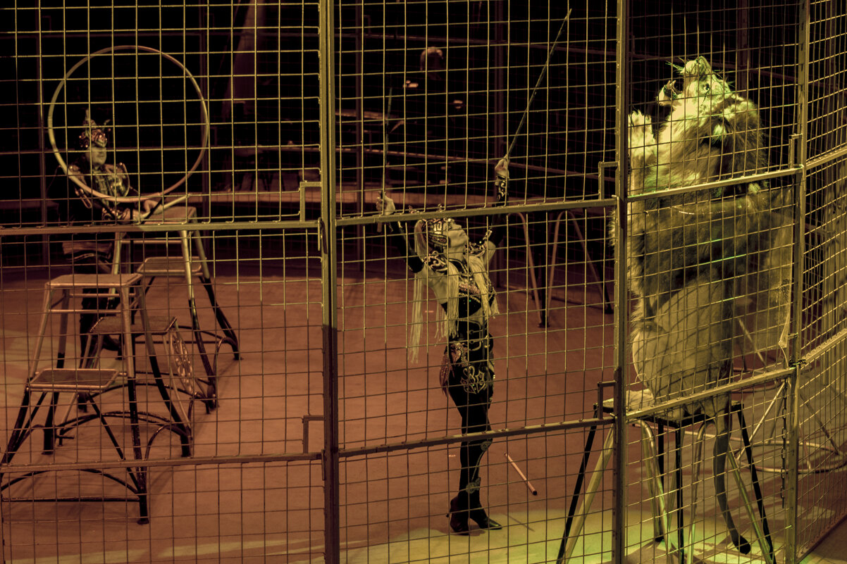 Ижевск Цирк - Владимир Максимов Ижевск Цирк - Владимир Максимов