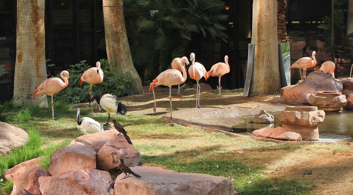 Большое семейство - Владимир Соколов (svladmir) Большое семейство - Владимир Соколов (svladmir)