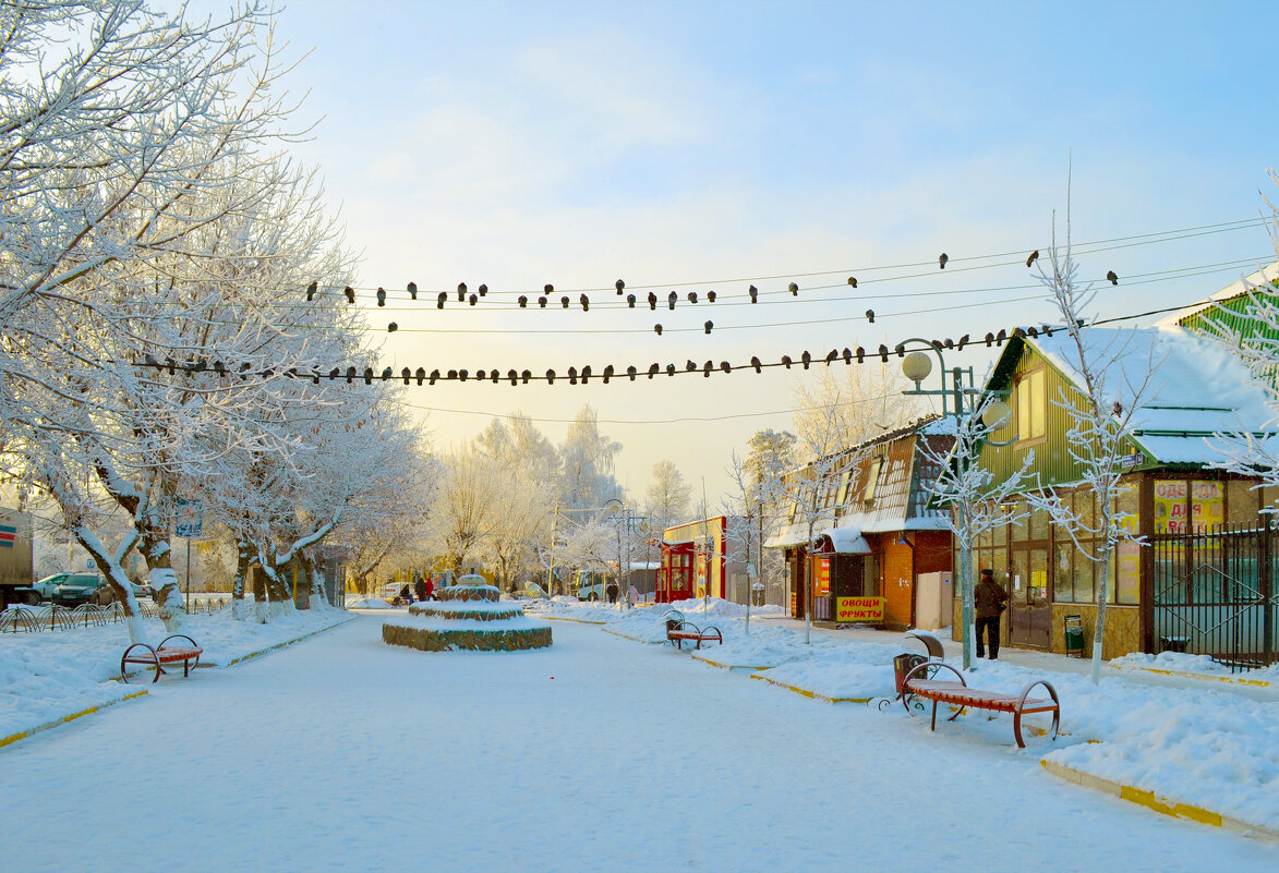 Подмосковная зарисовка - Ольга Подмосковная зарисовка - Ольга
