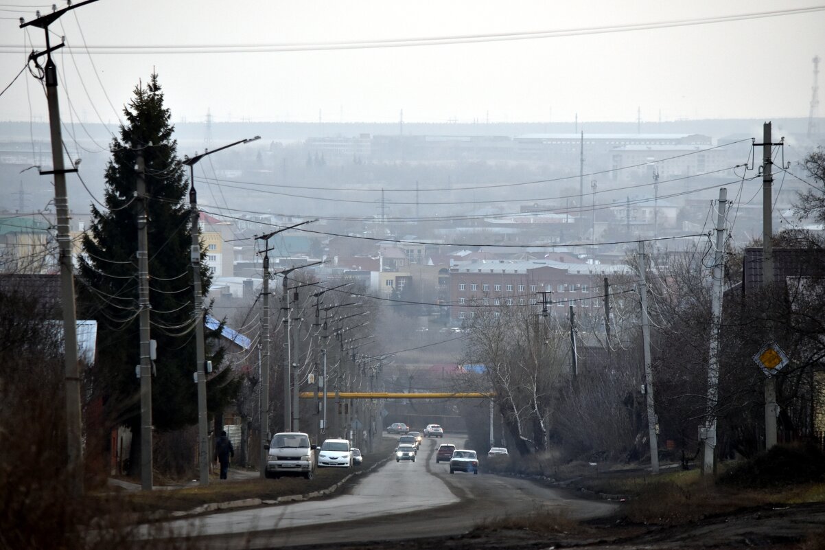 Вид - Дарья Шуклина