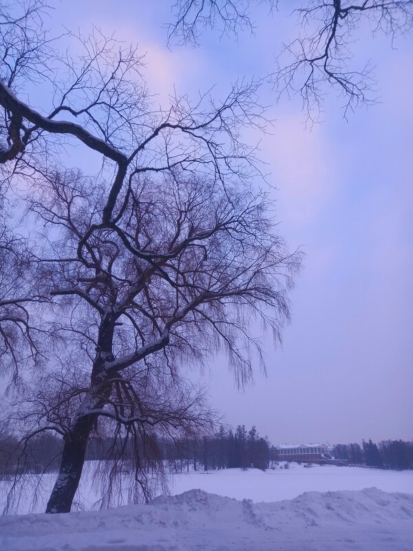 Рассвет - Сапсан 