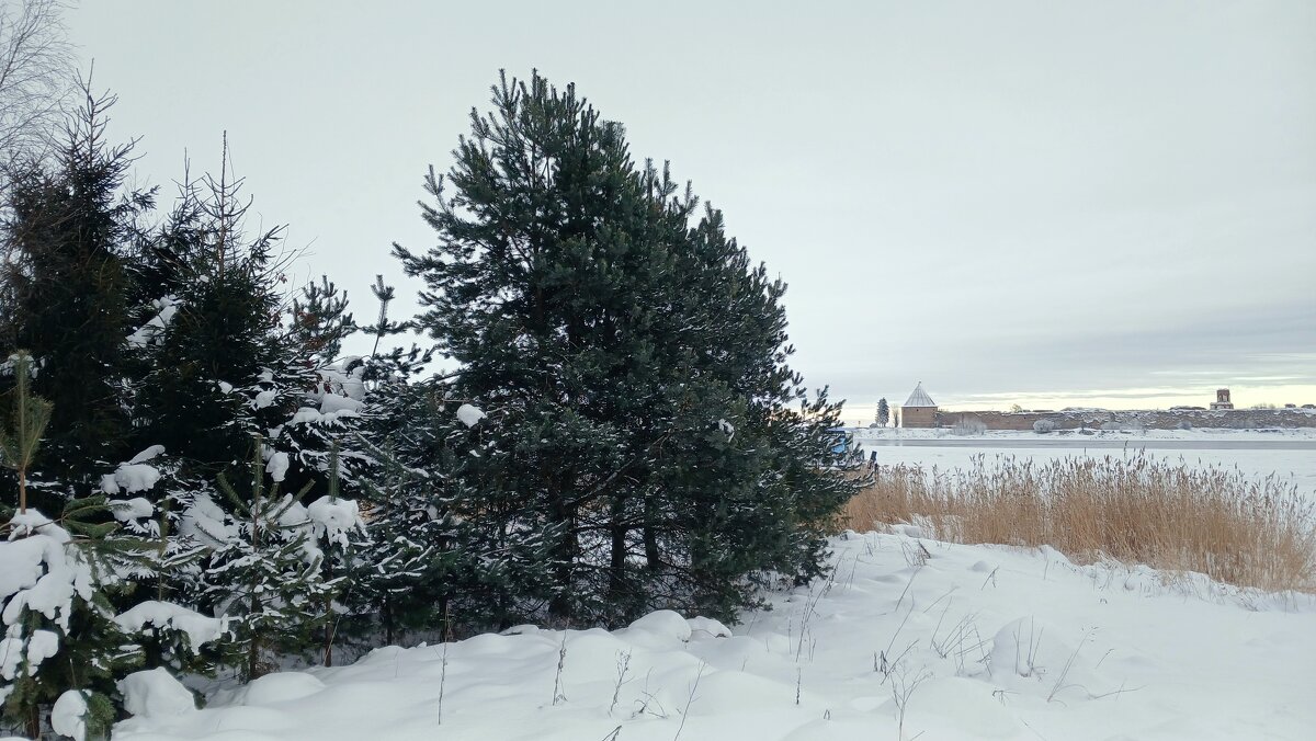 Зимний пейзаж - Наталья Герасимова