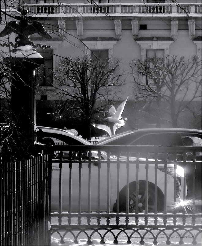 шум за оградой - sv.kaschuk шум за оградой - sv.kaschuk