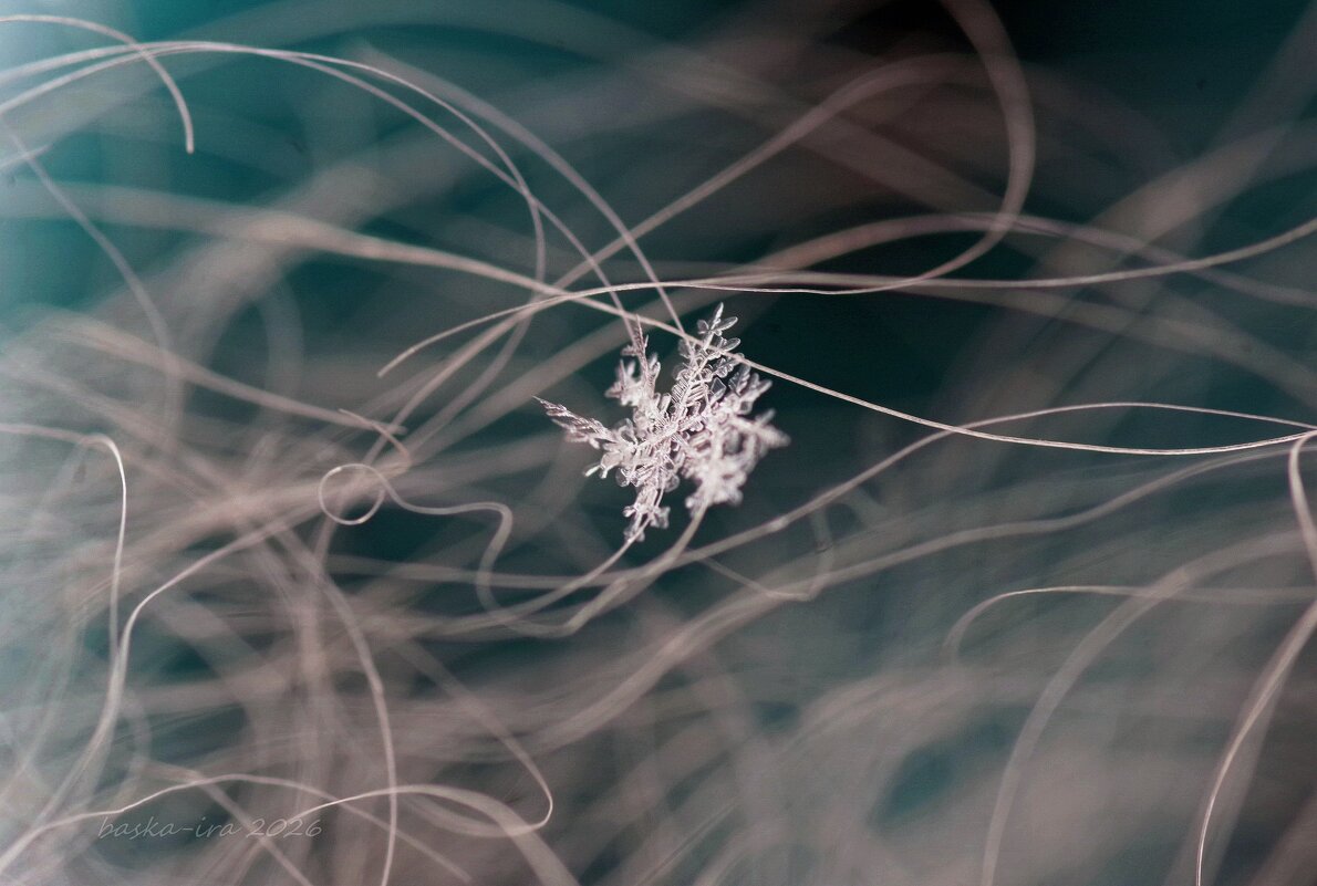 Зимний бриллиант - Ирина Баскакова