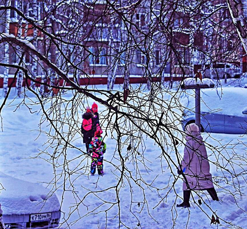 Февраль...Во дворе -многодетная семья! - Владимир 