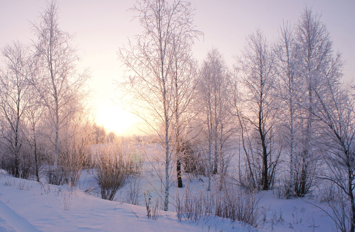 Утро. - сергей ермошкин Утро. - сергей ермошкин