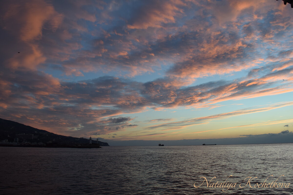 Природа Крыма - Amazing Cosmea Природа Крыма - Amazing Cosmea