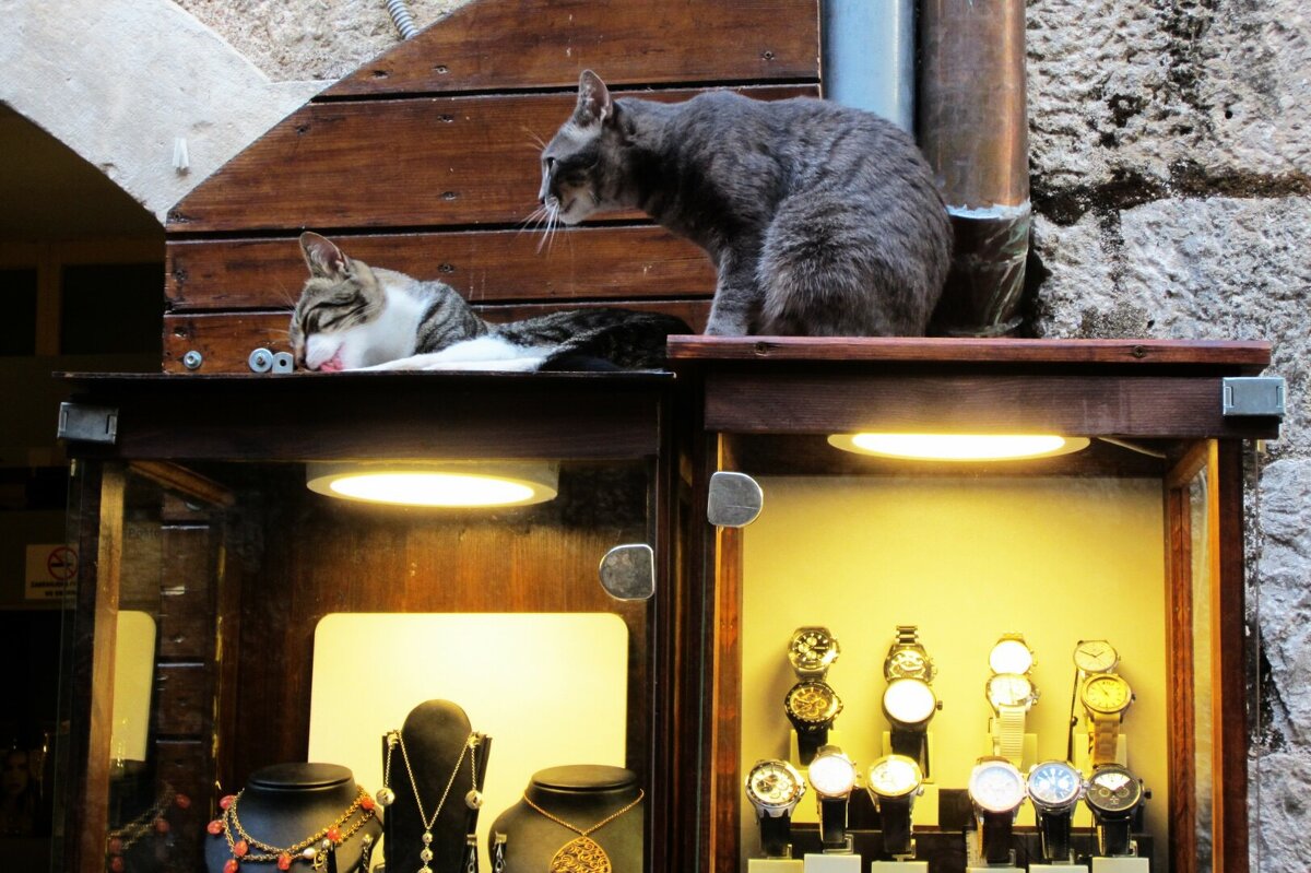 Хранители сокровищ - Натали 