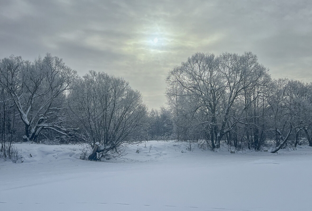 февральское солнце - Galina февральское солнце - Galina