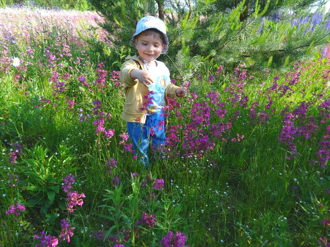 Рома любуется цветами - Наталья ***