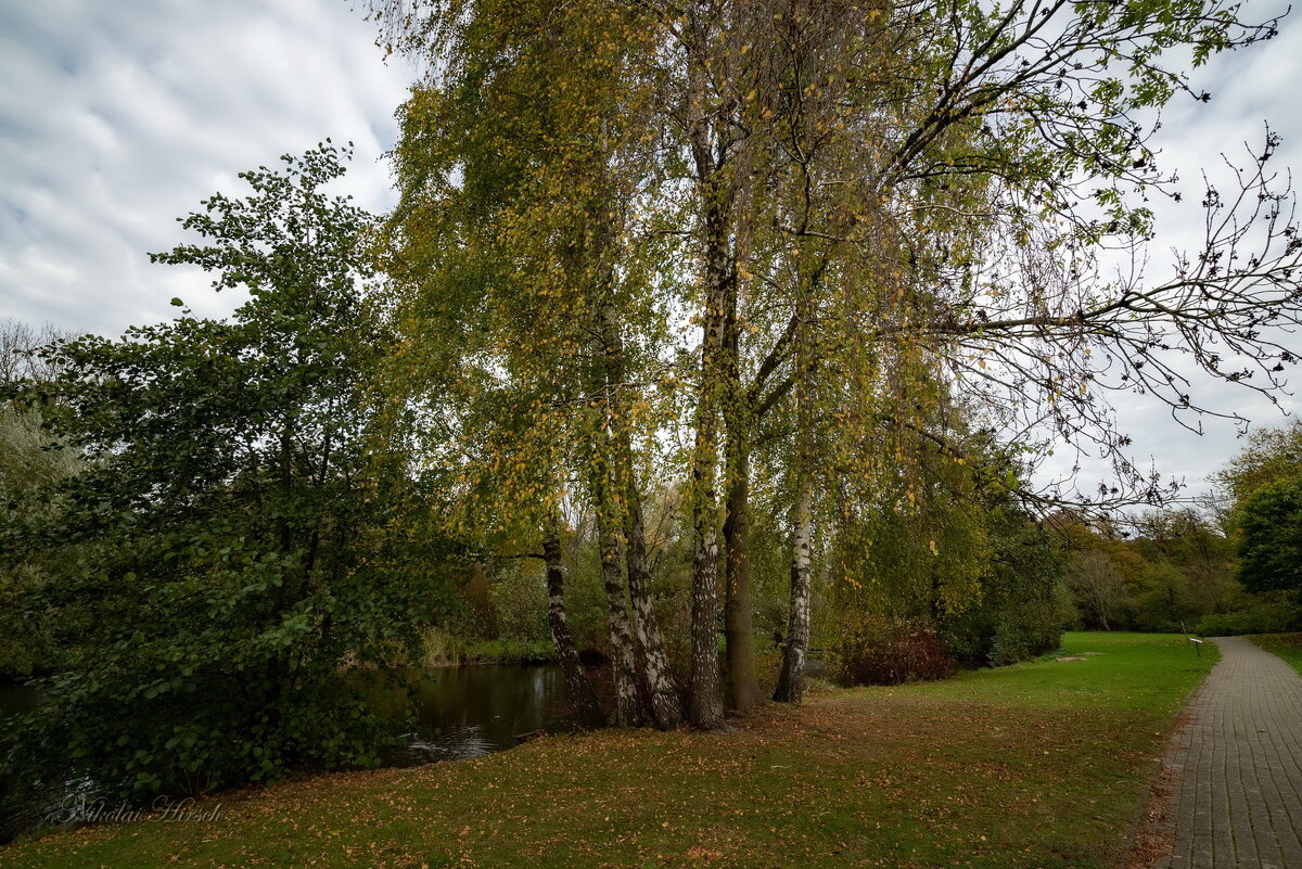 На  прудах в ноябре... - Николай Гирш