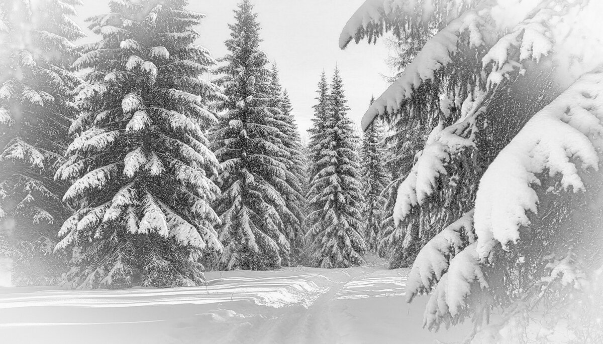 Зимнее благолепие ... - Ravile 