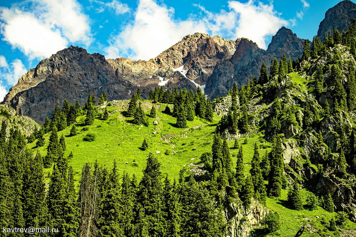 22 - HART BAD 22 - HART BAD