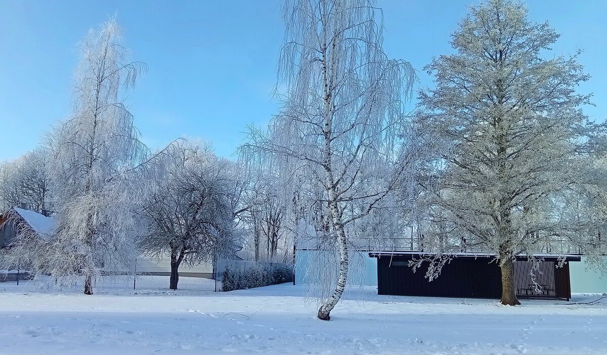 Прекрасный январь ... - Татьян@ Ивановна