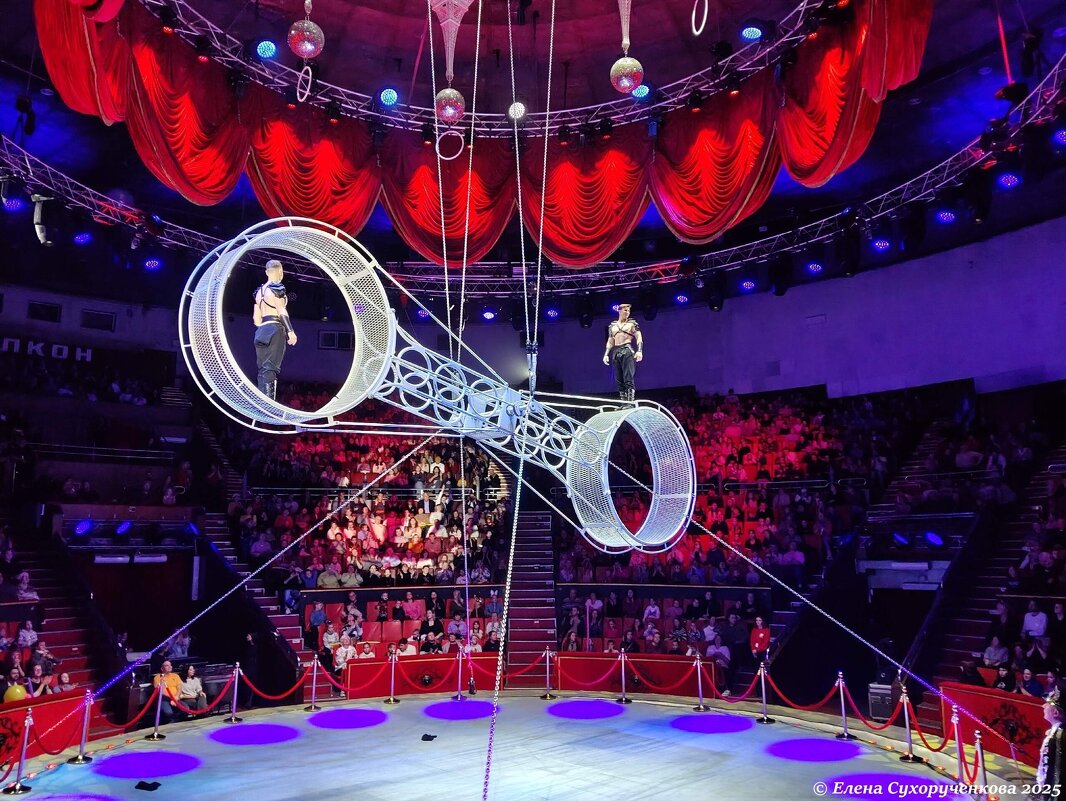 Колесо смелости - Елена Сухорученкова