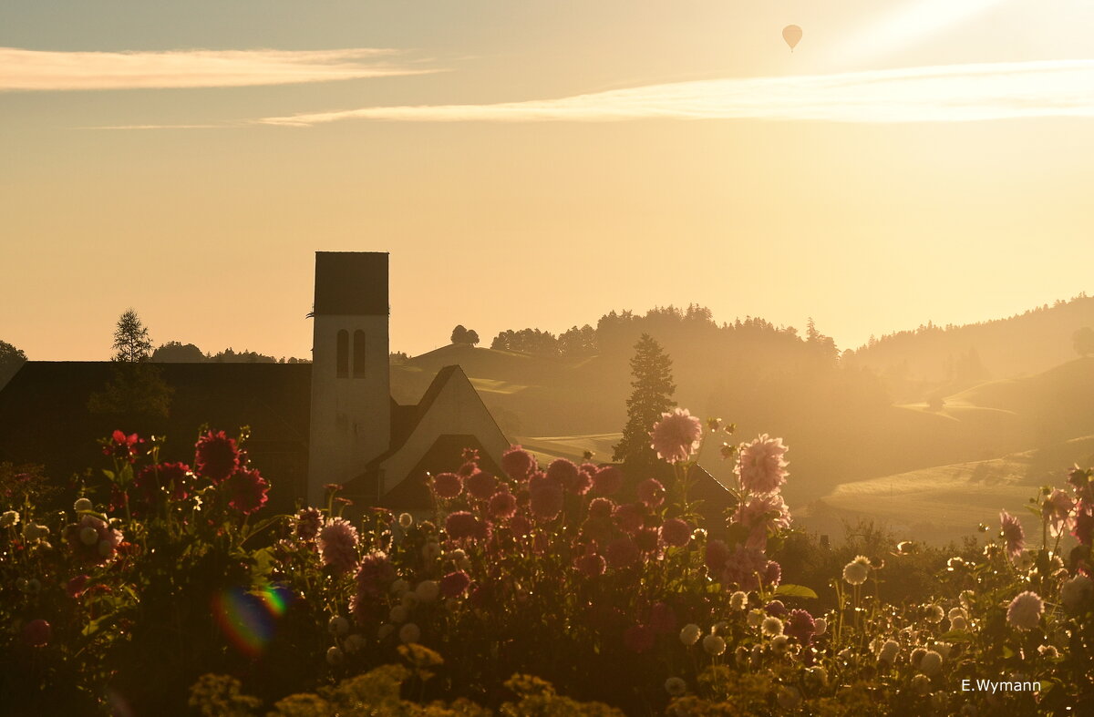 sunrise - Elena Wymann