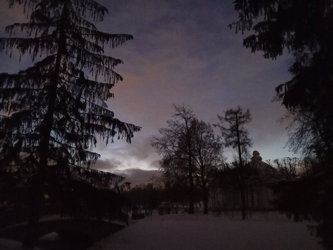 Вечер - Сапсан 