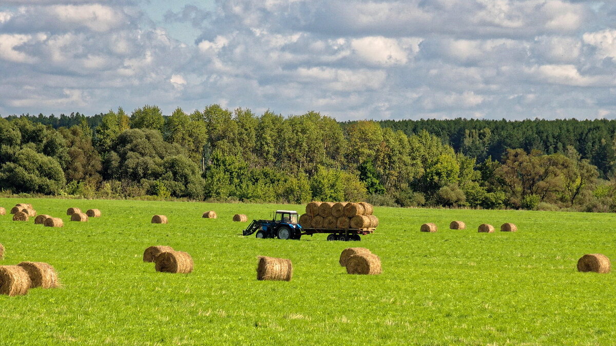 Заготовка валков - Валерий Судачок
