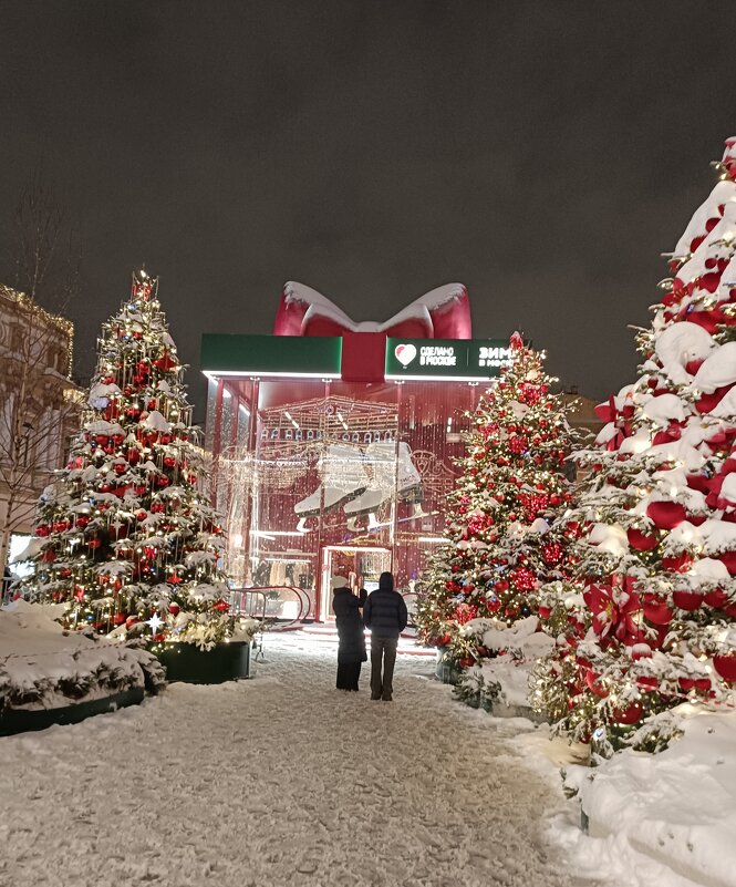 фестиваль Зима в Москве - Галина R...