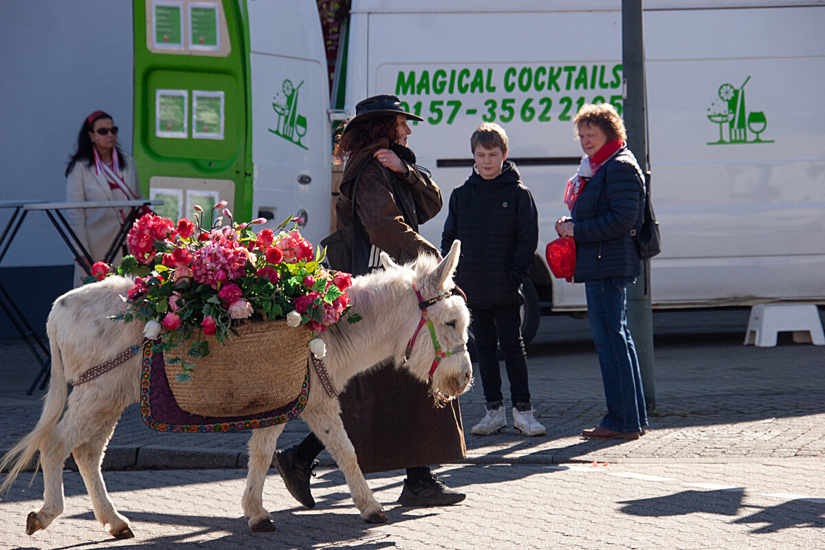 По городу осла водили - Valziwa По городу осла водили - Valziwa