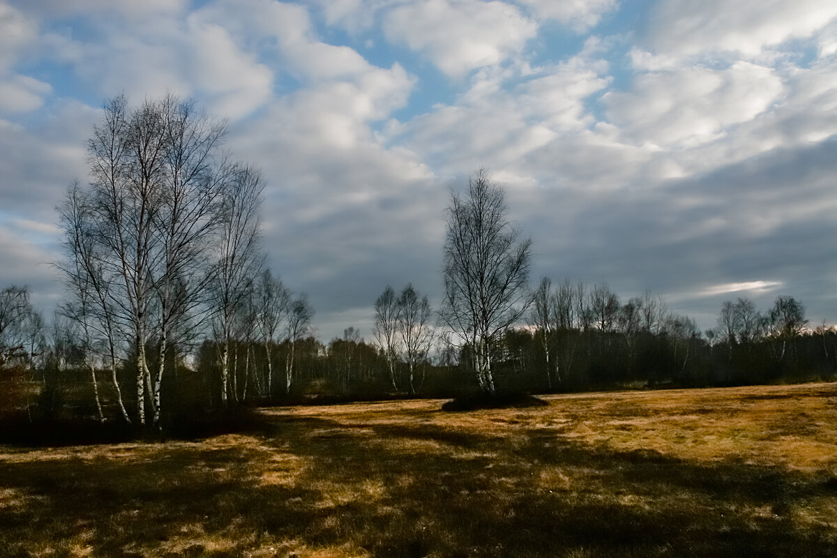 Поздняя осень - Valziwa Поздняя осень - Valziwa