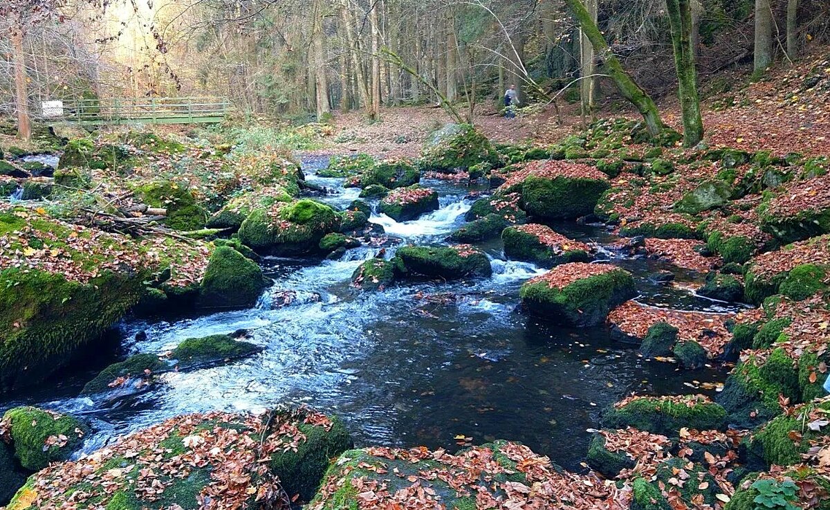 Поздняя осень . - Наталья *** Поздняя осень . - Наталья ***