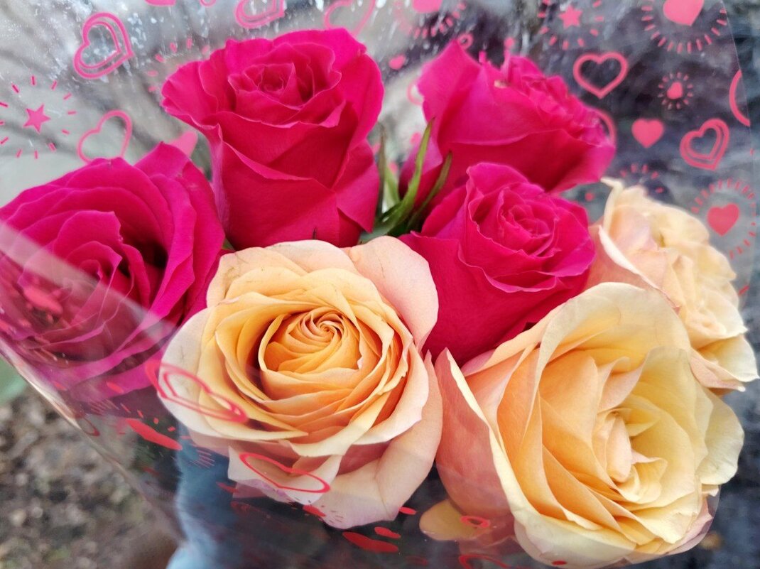 Розы на День влюбленных - Наталья (ShadeNataly) Мельник