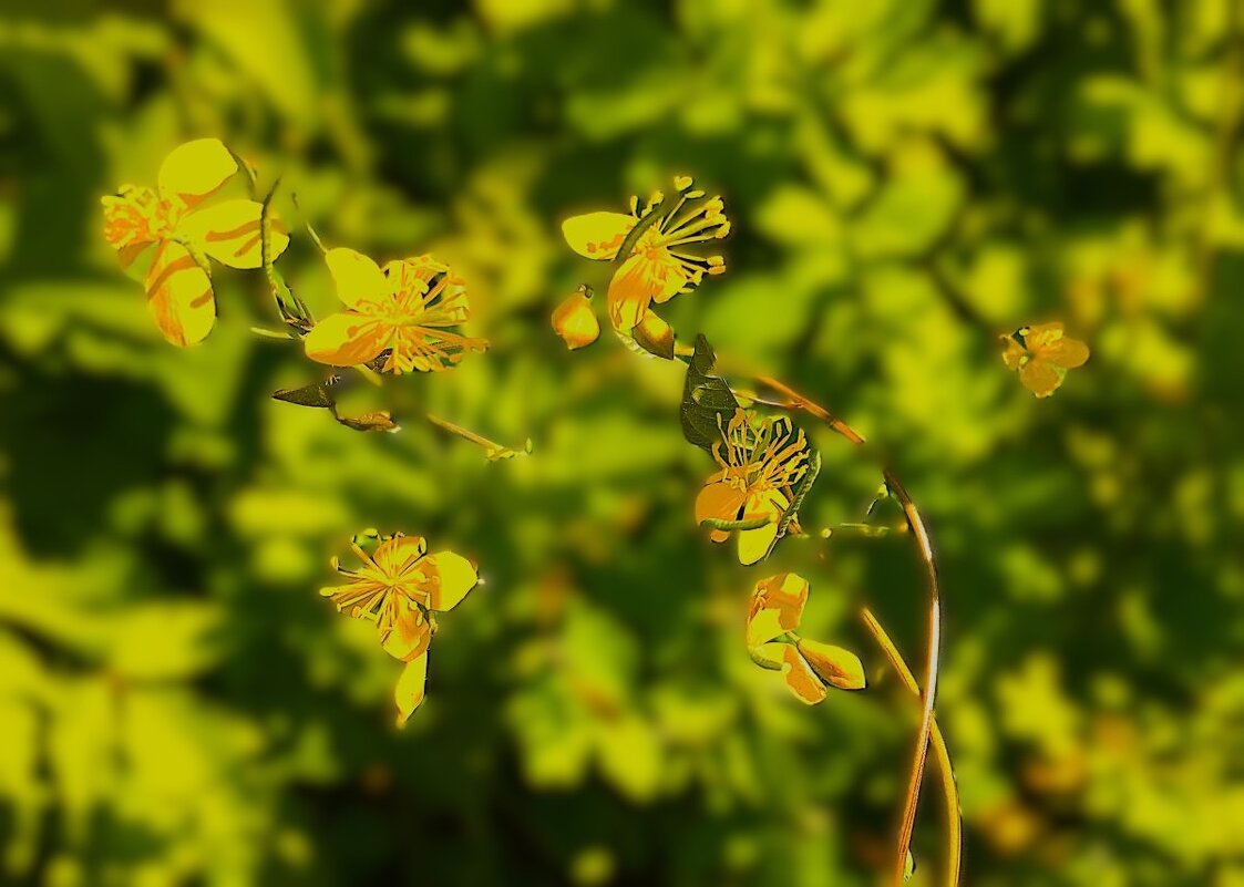 ***незнакомки*** - Olga Oskolkova