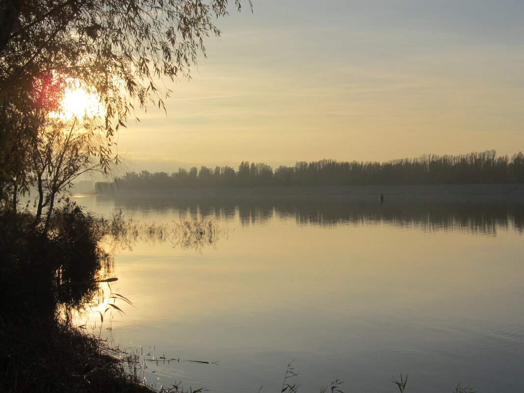 на набережной - Елена Шаламова