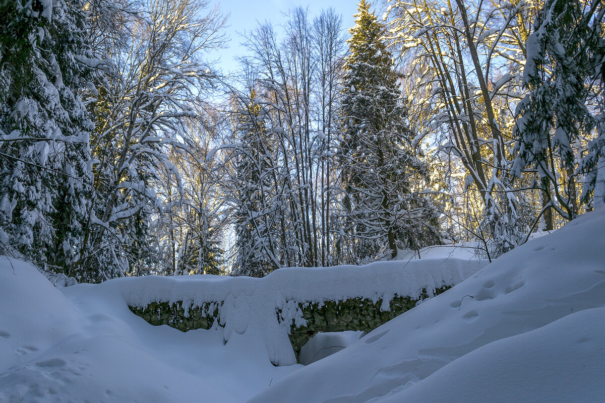Ясным днем - Сергей Цветков