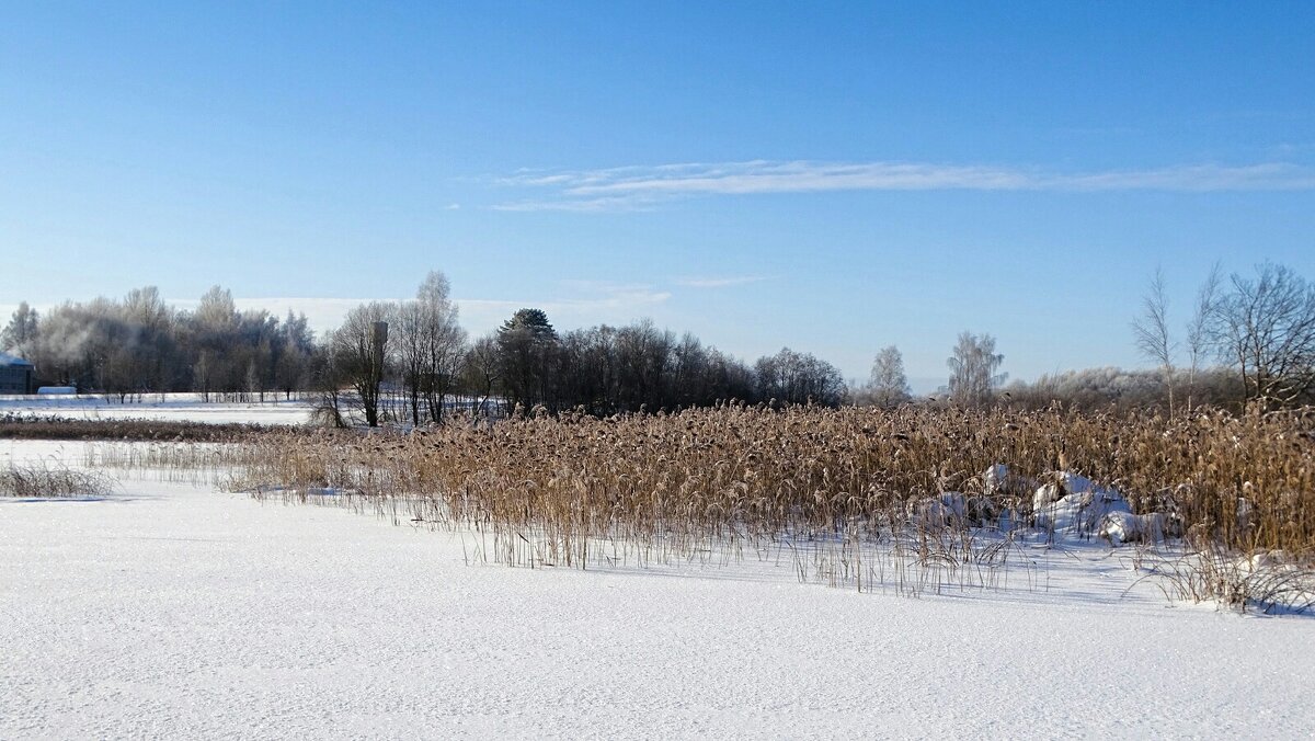 Зима в начале февраля. - Милешкин Владимир Алексеевич Зима в начале февраля. - Милешкин Владимир Алексеевич