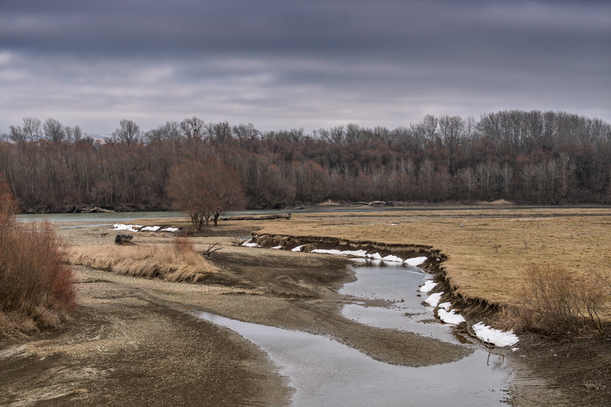 Протока реки Кубань - Игорь Сикорский Протока реки Кубань - Игорь Сикорский