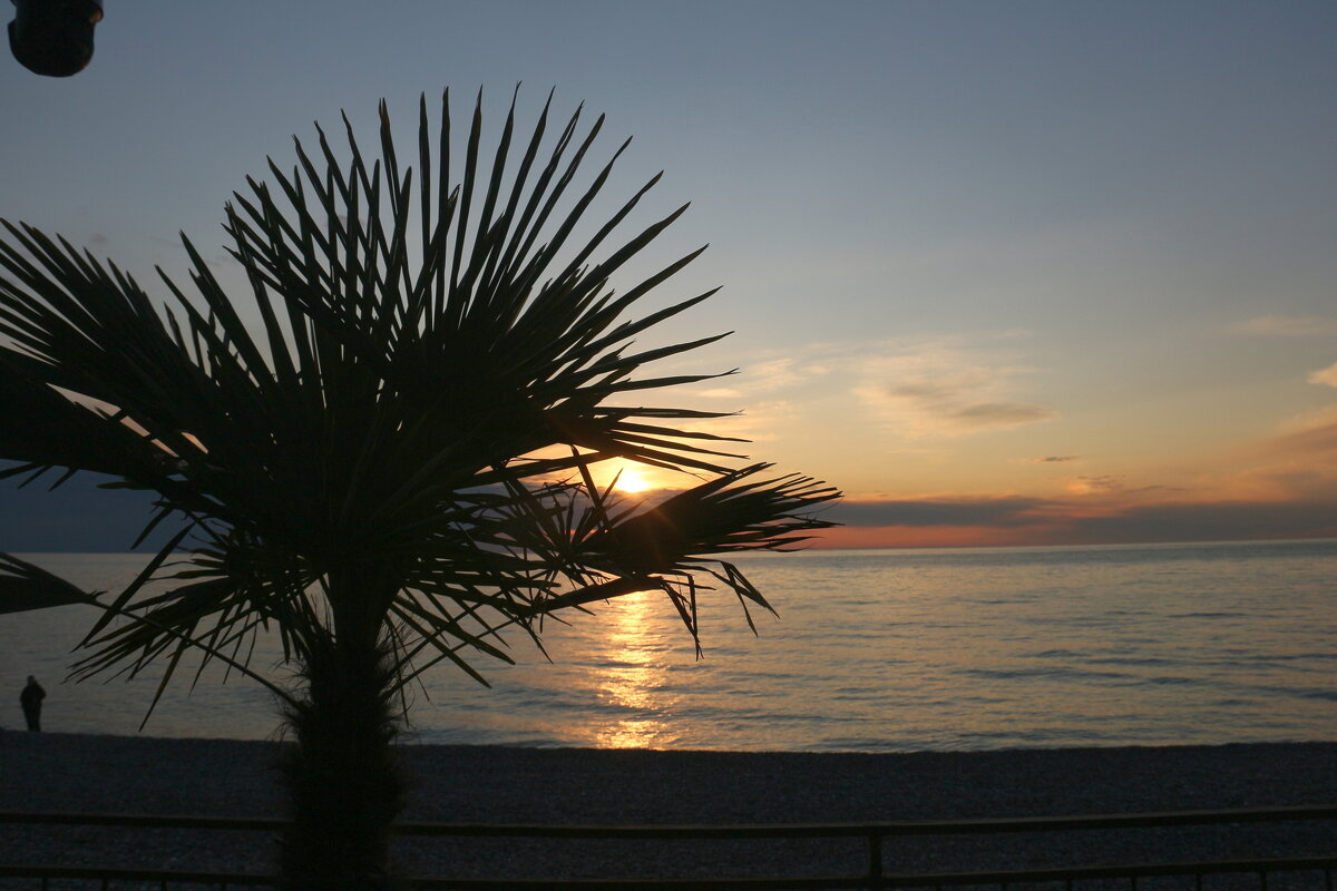 Тихий вечер - Мишель71 Тихий вечер - Мишель71