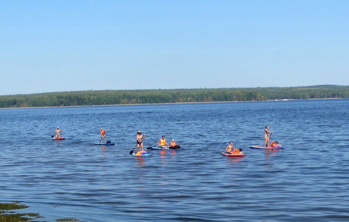 Плавунцы - Лариса С.