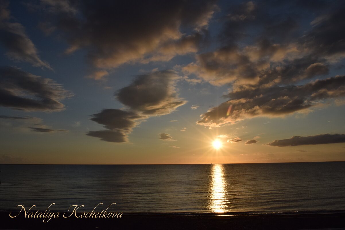 Природа Крыма - Amazing Cosmea