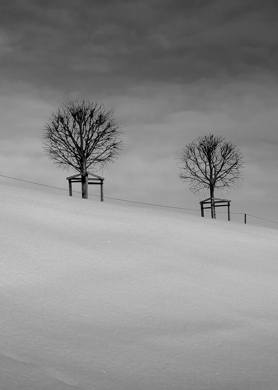 Близнецы. - Svyatoslav [Artisan] Ph.