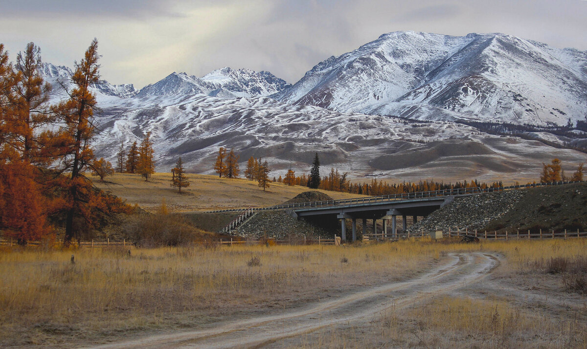 Мост через Курайку - елена беликова