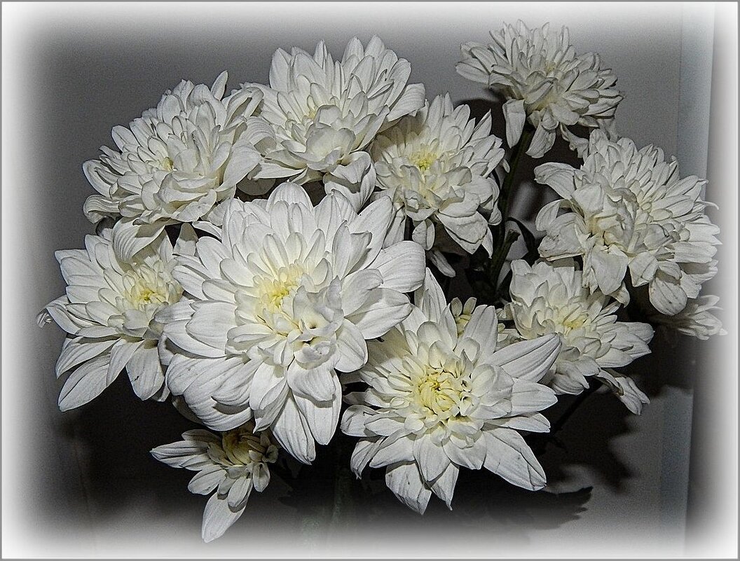 Букет из хризантем ... - Валентина Надсон Букет из хризантем ... - Валентина Надсон