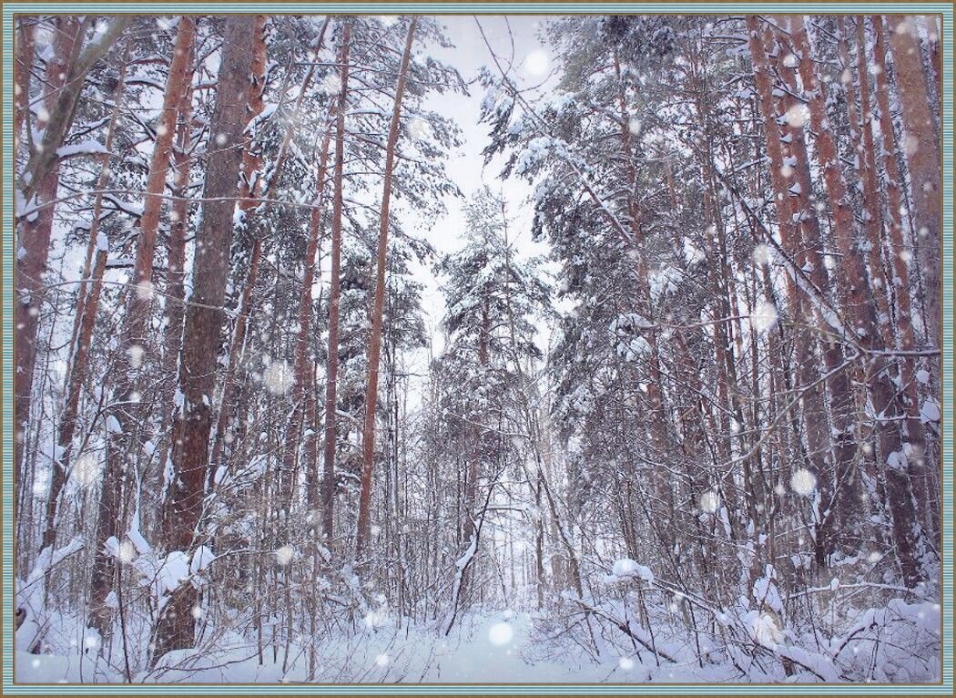 А снег идёт... - Alisia La DEMA А снег идёт... - Alisia La DEMA