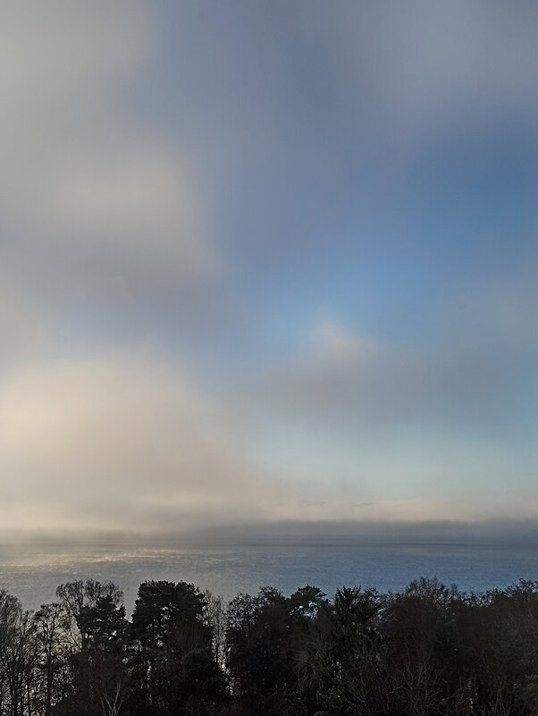 Мягкое небо. День занялся! - Лилия * Мягкое небо. День занялся! - Лилия *