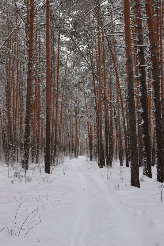 *** - Александр Николаев