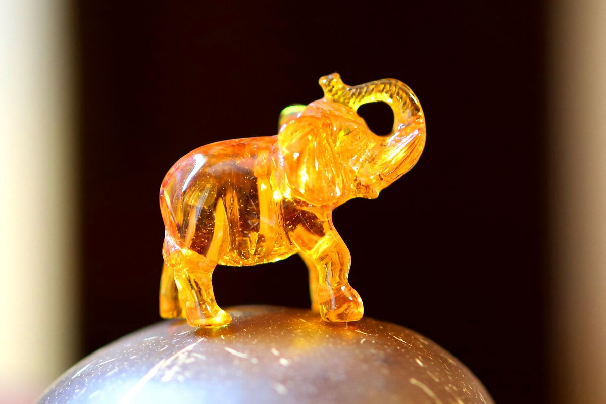 Слон. Янтарь - Андрей Л. В. Слон. Янтарь - Андрей Л. В.